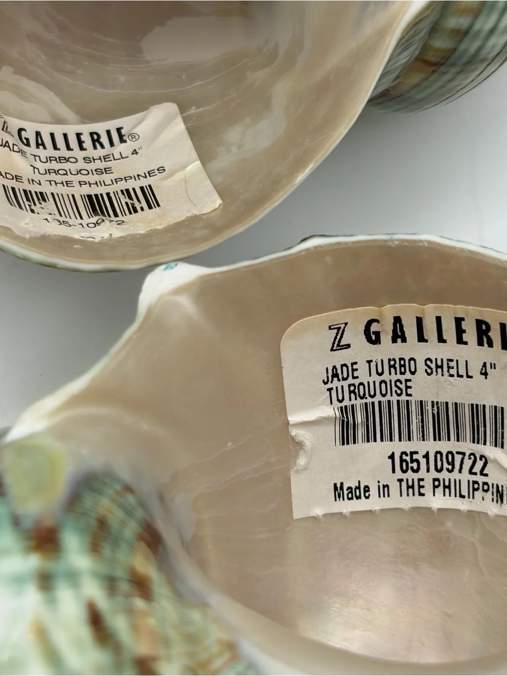 Z Gallerie Polished Green Turbo Turban Shells 4” Beach Coastal Chic Decor 2pc